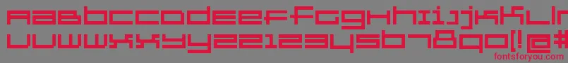 GridexerciseBold Font – Red Fonts on Gray Background