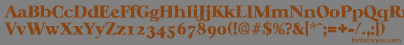 CasablancaantiqueHeavyRegular Font – Brown Fonts on Gray Background