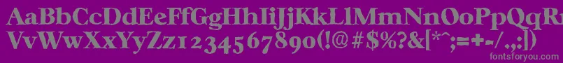 CasablancaantiqueHeavyRegular Font – Gray Fonts on Purple Background