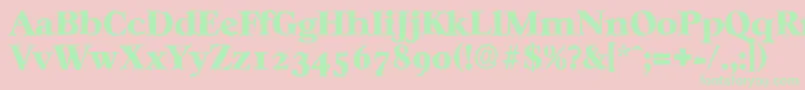 CasablancaantiqueHeavyRegular-Schriftart – Grüne Schriften auf rosa Hintergrund