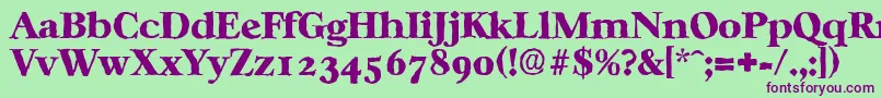 CasablancaantiqueHeavyRegular Font – Purple Fonts on Green Background