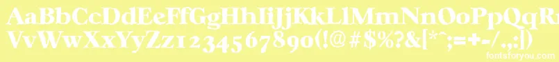 CasablancaantiqueHeavyRegular Font – White Fonts on Yellow Background