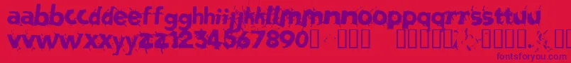 Salvatio Font – Purple Fonts on Red Background