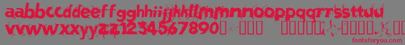 Salvatio Font – Red Fonts on Gray Background
