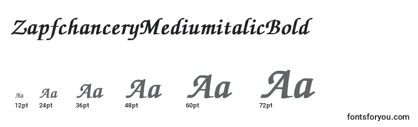 Größen der Schriftart ZapfchanceryMediumitalicBold