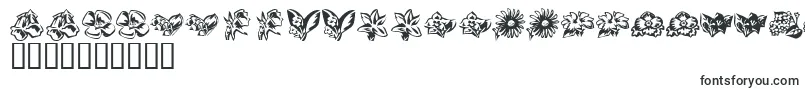 Czcionka KrBeautifulFlowers3 – sudańskie czcionki