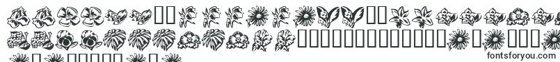 KrBeautifulFlowers3 Font – Nyanja Fonts