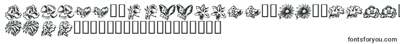 KrBeautifulFlowers3-Schriftart – esperanto Schriften