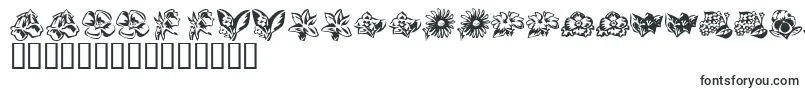 KrBeautifulFlowers3 Font – Estonian Fonts