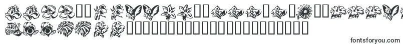 KrBeautifulFlowers3 Font – Maltese Fonts