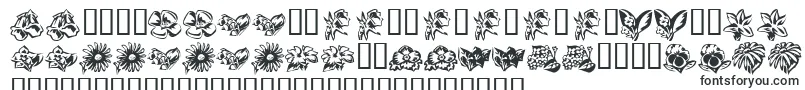 KrBeautifulFlowers3-Schriftart – slowakische Schriften