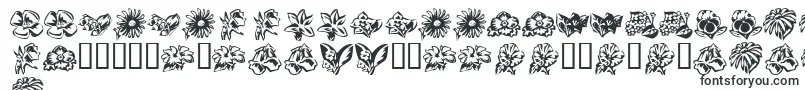 Police KrBeautifulFlowers3 – polices créoles