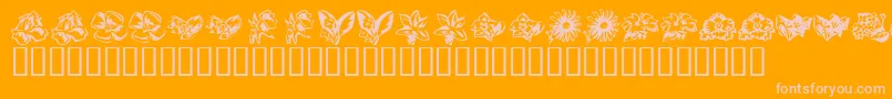 KrBeautifulFlowers3 Font – Pink Fonts on Orange Background