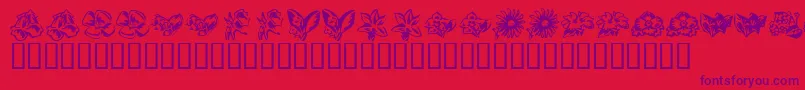 KrBeautifulFlowers3 Font – Purple Fonts on Red Background