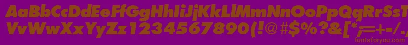 FunctiontwoextraboldRegularitalic Font – Brown Fonts on Purple Background