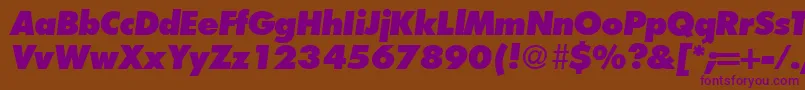 FunctiontwoextraboldRegularitalic Font – Purple Fonts on Brown Background
