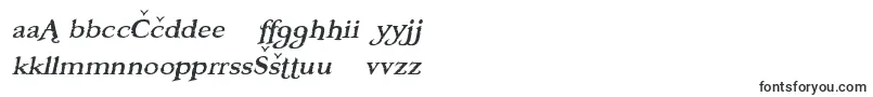 Czcionka BooterFiveFive – litewskie czcionki