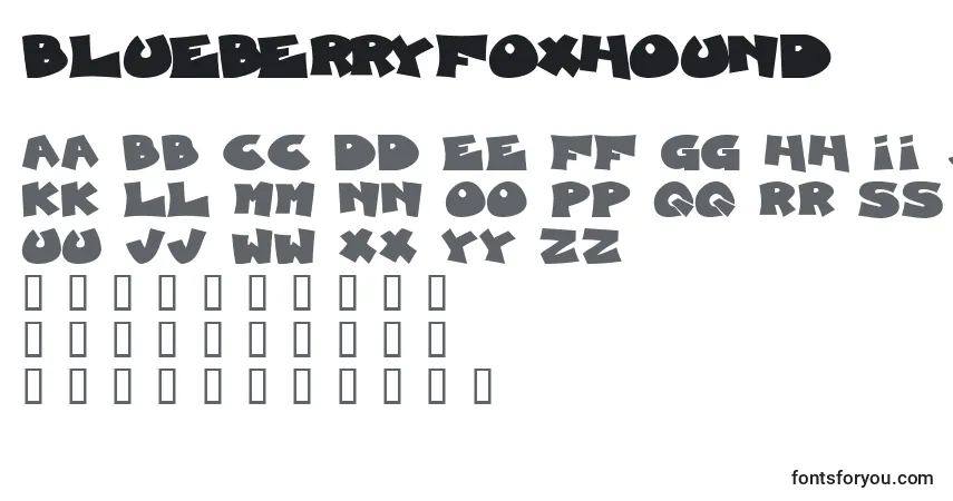 Czcionka BlueberryFoxhound – alfabet, cyfry, specjalne znaki