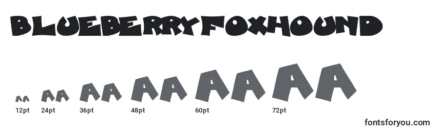 BlueberryFoxhound Font Sizes