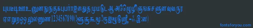 ImayamRegular Font – Blue Fonts on Black Background
