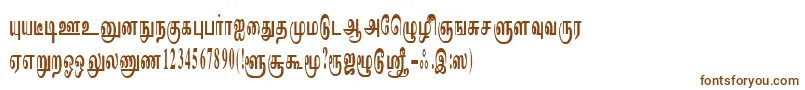 ImayamRegular-Schriftart – Braune Schriften