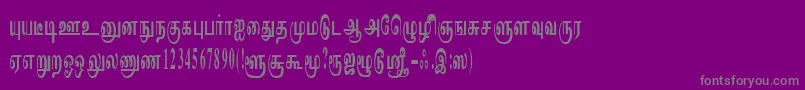 フォントImayamRegular – 紫の背景に灰色の文字