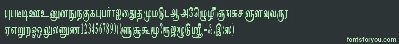Шрифт ImayamRegular – зелёные шрифты на чёрном фоне