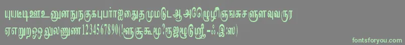 ImayamRegular Font – Green Fonts on Gray Background