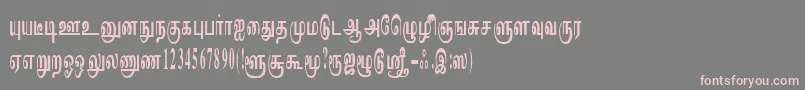 ImayamRegular Font – Pink Fonts on Gray Background