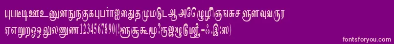 ImayamRegular Font – Pink Fonts on Purple Background