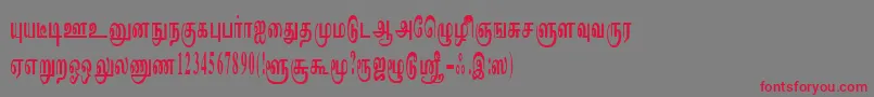 ImayamRegular Font – Red Fonts on Gray Background