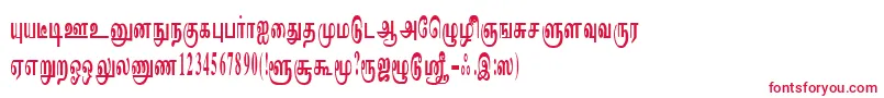 ImayamRegular-Schriftart – Rote Schriften