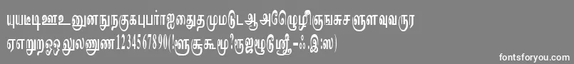 ImayamRegular-Schriftart – Weiße Schriften auf grauem Hintergrund