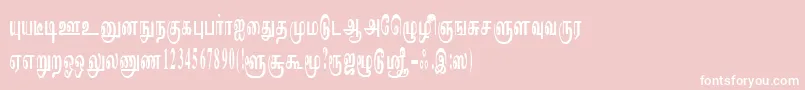 ImayamRegular Font – White Fonts on Pink Background