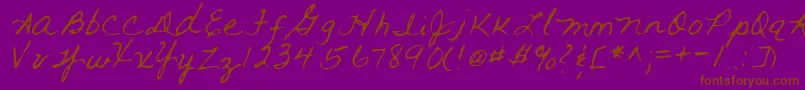 RaiRegular Font – Brown Fonts on Purple Background