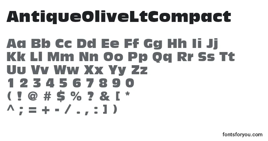 Czcionka AntiqueOliveLtCompact – alfabet, cyfry, specjalne znaki