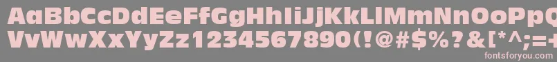 AntiqueOliveLtCompact Font – Pink Fonts on Gray Background