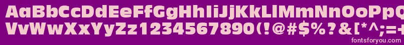 AntiqueOliveLtCompact Font – Pink Fonts on Purple Background