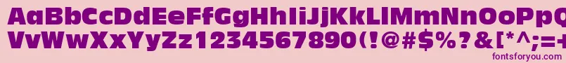 AntiqueOliveLtCompact Font – Purple Fonts on Pink Background