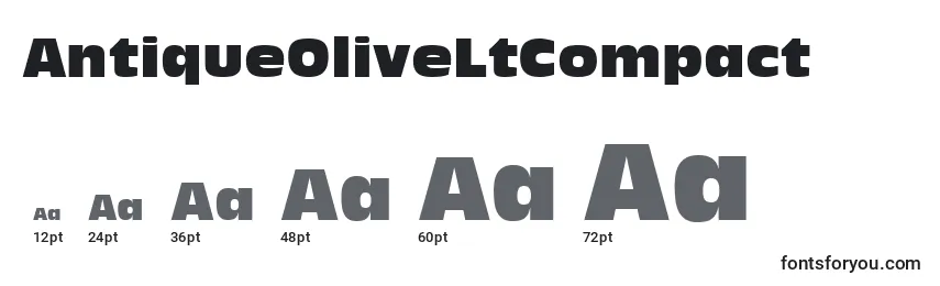 Размеры шрифта AntiqueOliveLtCompact