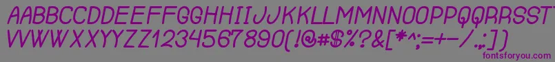 RenegadeOfSouth Font – Purple Fonts on Gray Background