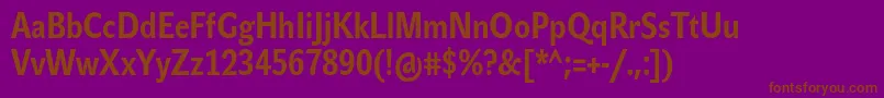 JohnsanscondTextProBold Font – Brown Fonts on Purple Background