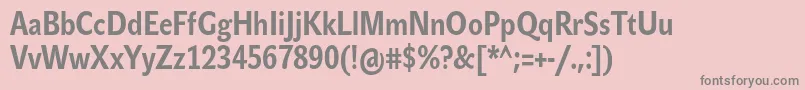 JohnsanscondTextProBold Font – Gray Fonts on Pink Background