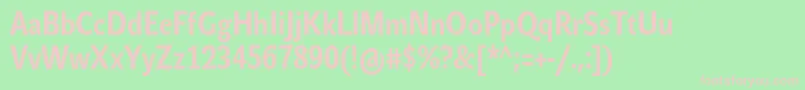 JohnsanscondTextProBold Font – Pink Fonts on Green Background