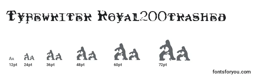 Размеры шрифта Typewriter Royal200trashed