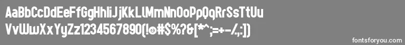 フォントTesBoldР™ – 灰色の背景に白い文字