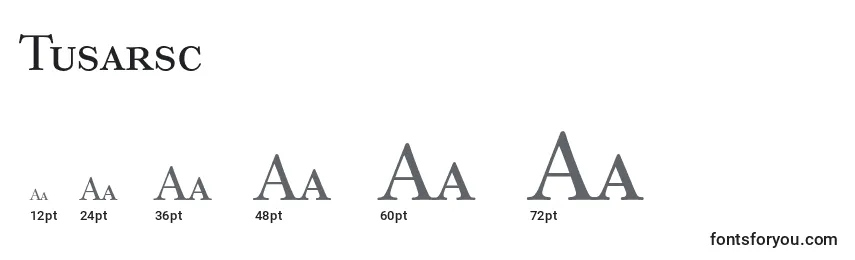 Размеры шрифта Tusarsc