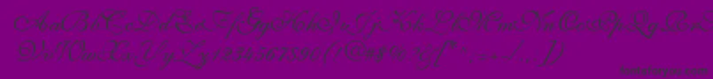 ShirleyvolanteRegularDb Font – Black Fonts on Purple Background