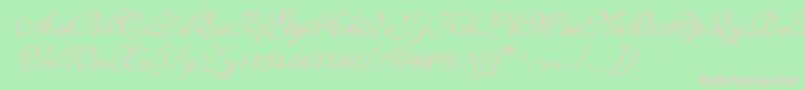 ShirleyvolanteRegularDb Font – Pink Fonts on Green Background