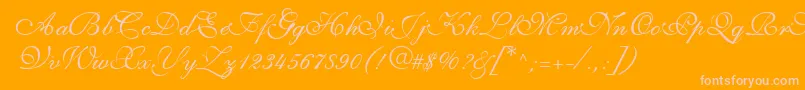 ShirleyvolanteRegularDb Font – Pink Fonts on Orange Background